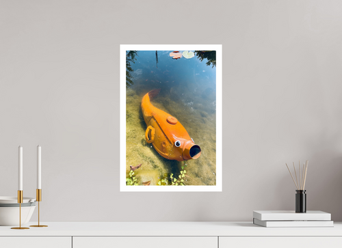 Gerd Goldfisch, Format: 30 x 45 cm