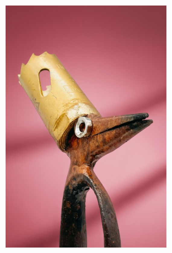 Titelbild Pedro Pinguin