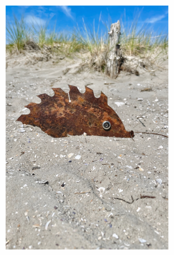Irmgard Igel, Titelbild