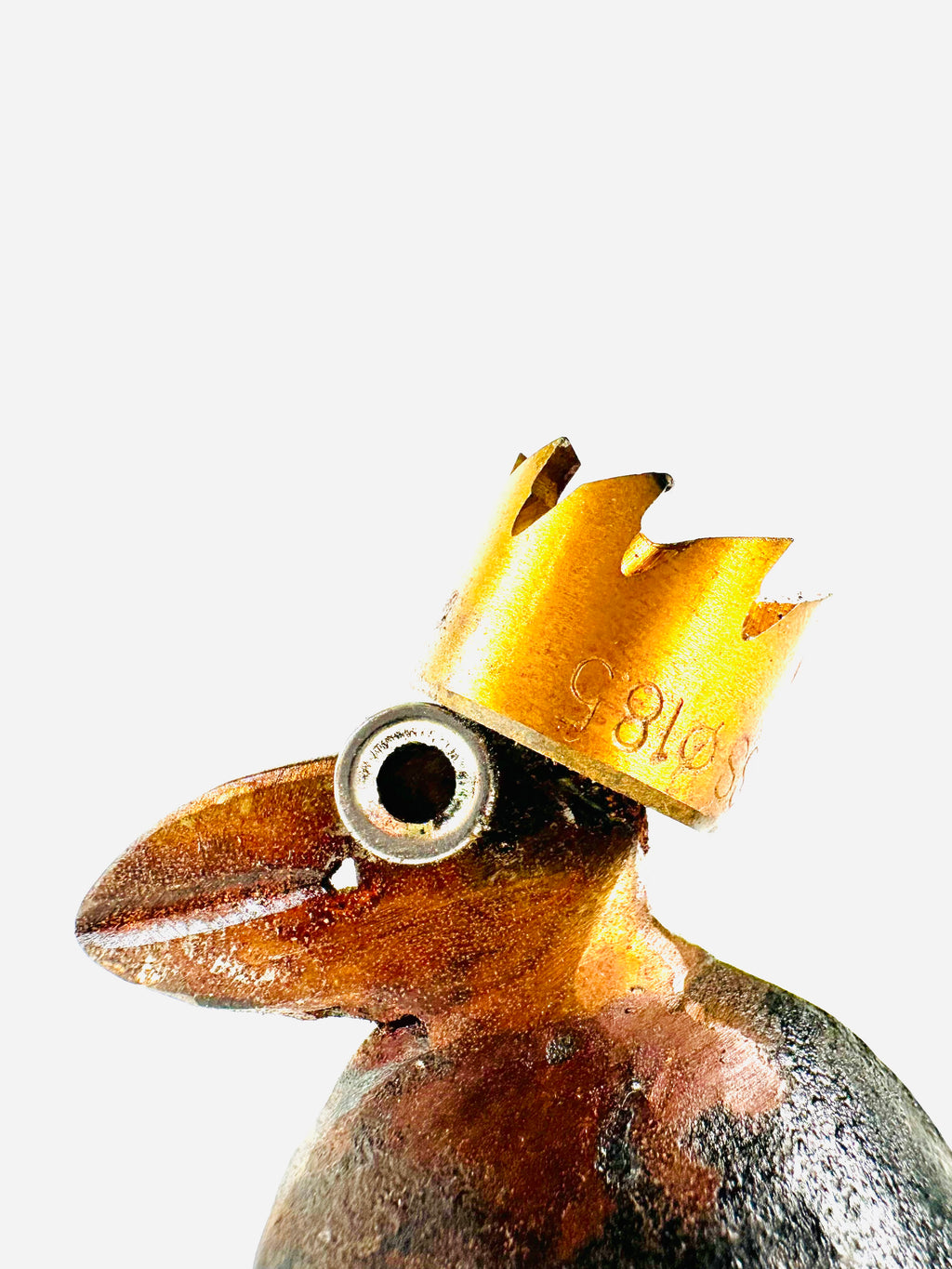 Zorro Zaunkönig