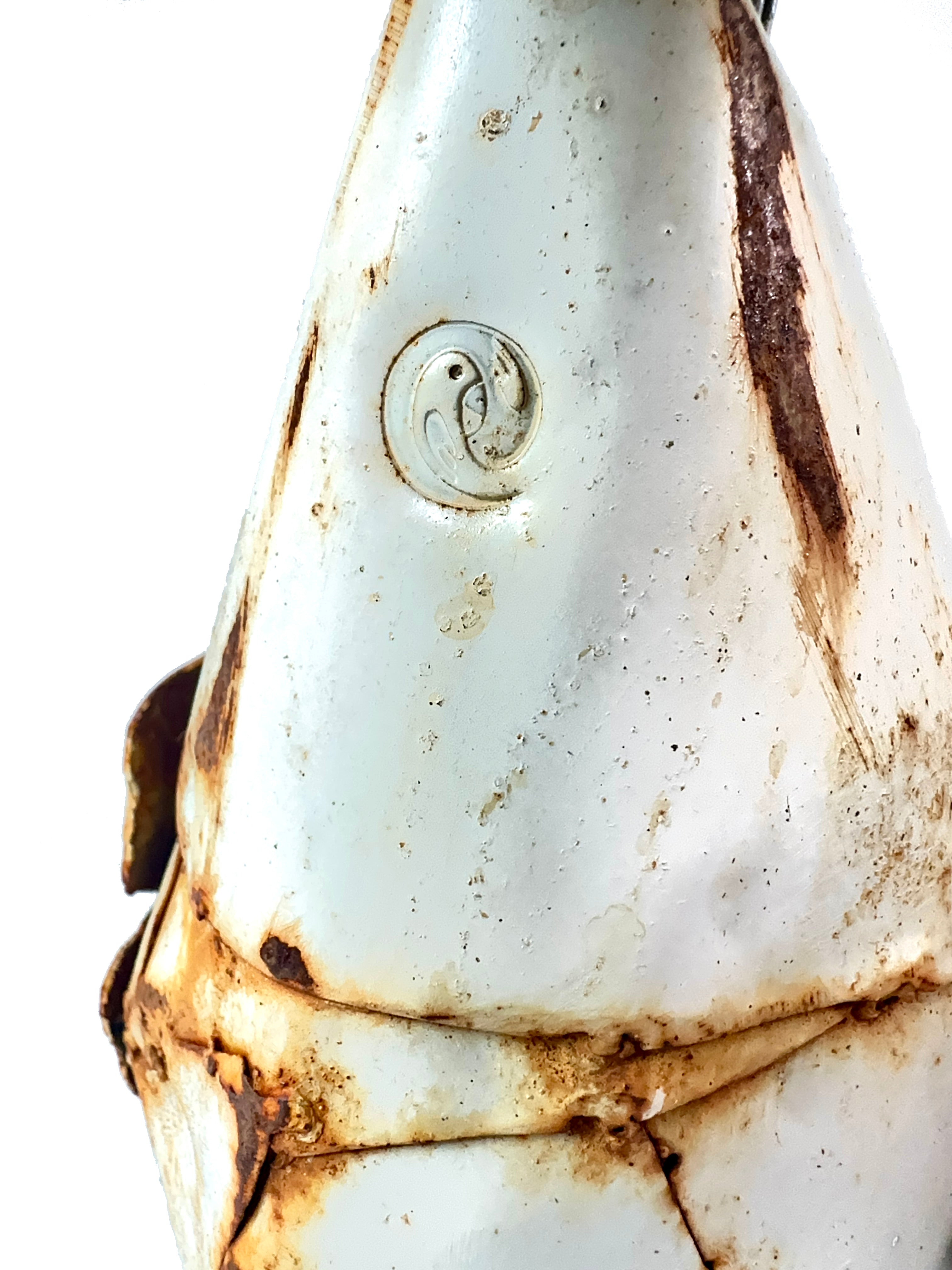Mateo, Detail Logo