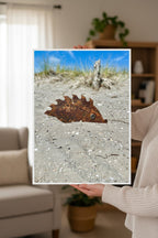 Irmgard Igel, Anwendung