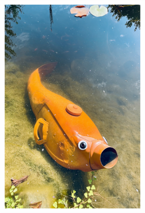 Gerd Goldfisch, Titelbild