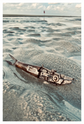 Serdar Sardine Titelbild