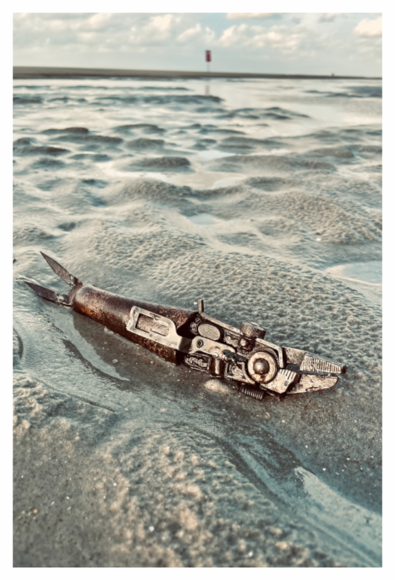 Serdar Sardine Titelbild